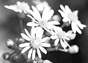 代充值平台的云呼轰炸官网